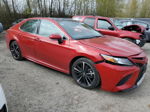 2019 Toyota Camry Xse Красный vin: 4T1B61HK7KU257702