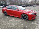 2019 Toyota Camry Xse Red vin: 4T1B61HKXKU160400