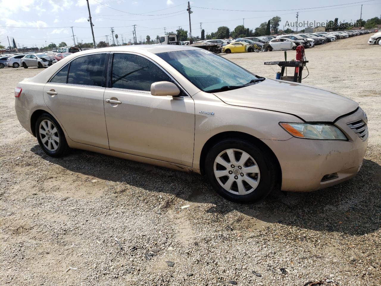 2009 Toyota Camry Hybrid Beige vin: 4T1BB46K19U077996