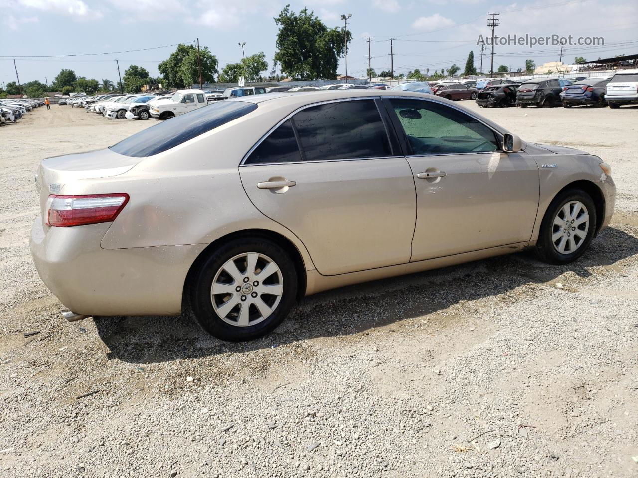 2009 Toyota Camry Hybrid Beige vin: 4T1BB46K19U077996