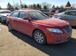 2009 Toyota Camry Hybrid Red vin: 4T1BB46K39U110464