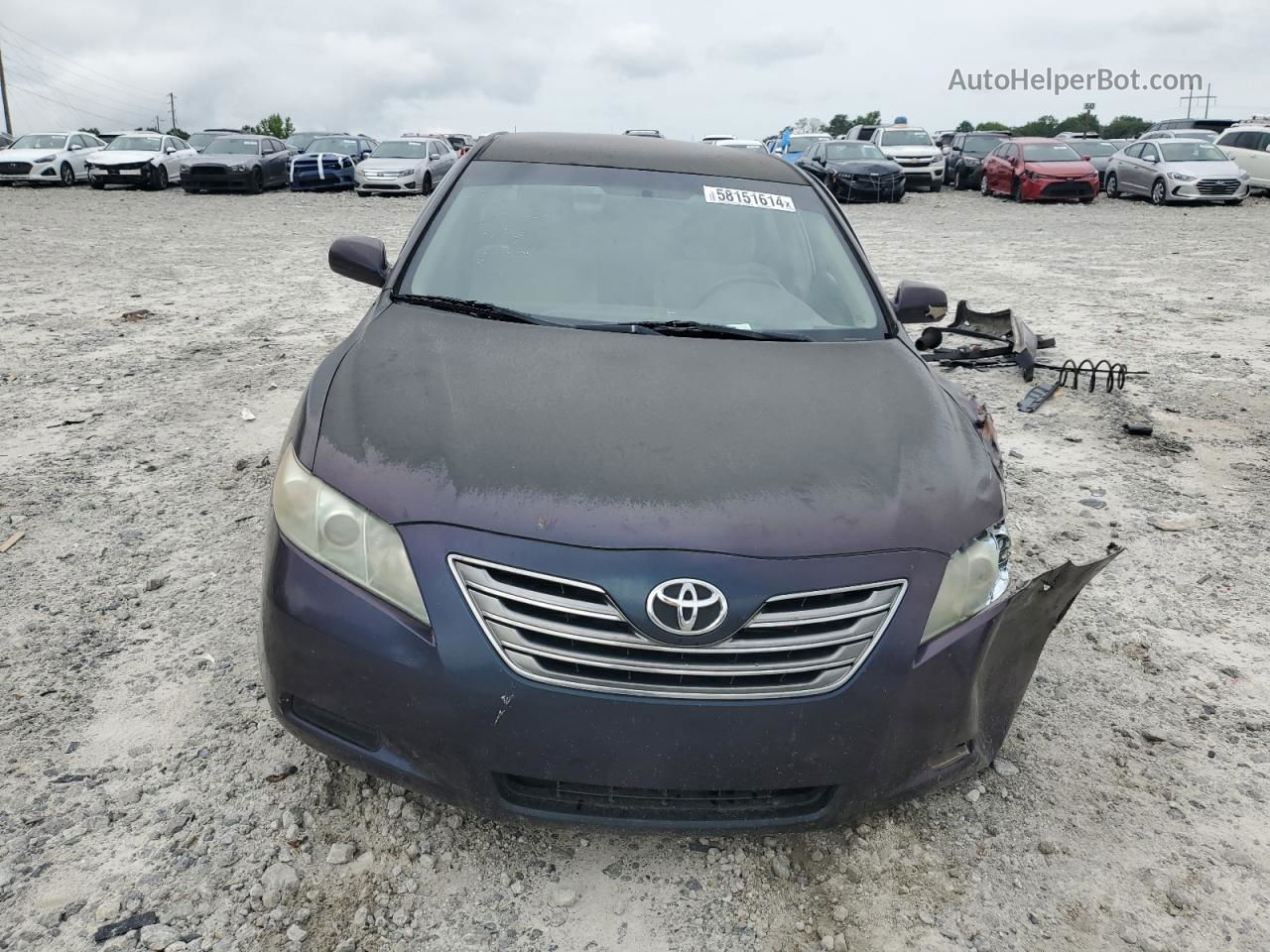 2009 Toyota Camry Hybrid Purple vin: 4T1BB46K59U071537