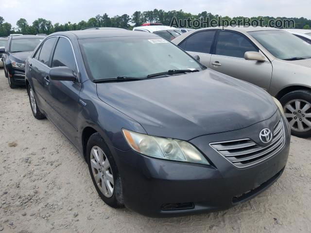 2009 Toyota Camry Hybrid Gray vin: 4T1BB46K59U072896