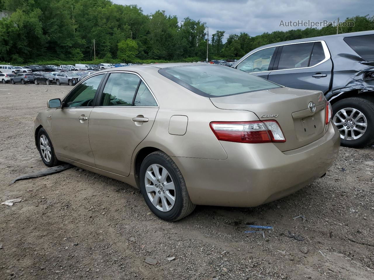 2009 Toyota Camry Hybrid Gold vin: 4T1BB46K69U082739