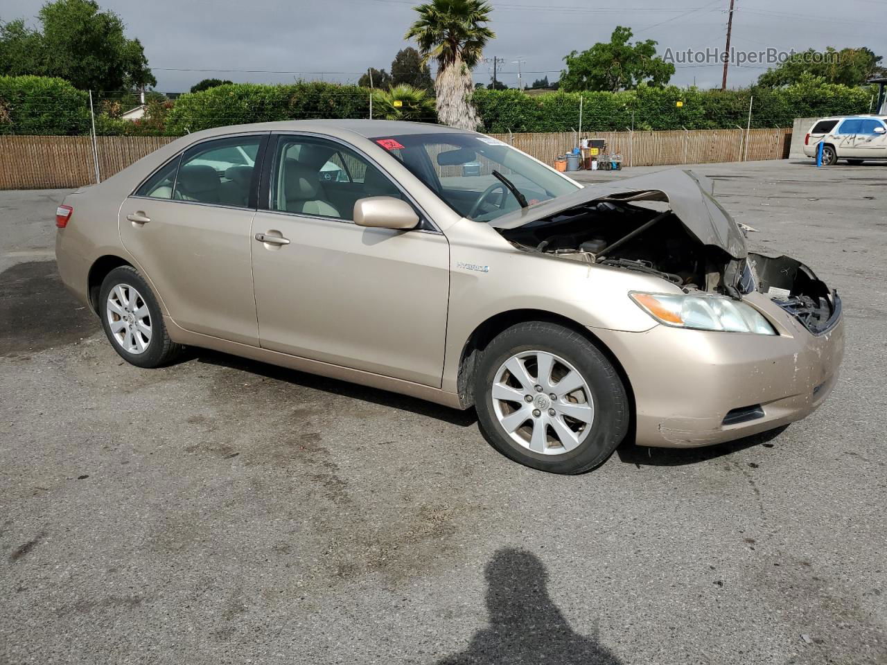 2009 Toyota Camry Hybrid Tan vin: 4T1BB46K69U102309