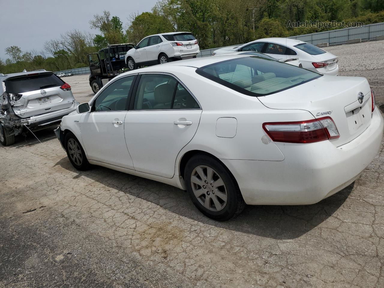 2009 Toyota Camry Hybrid White vin: 4T1BB46KX9U075759