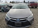 2016 Toyota Camry Hybrid Gray vin: 4T1BD1FK1GU185136