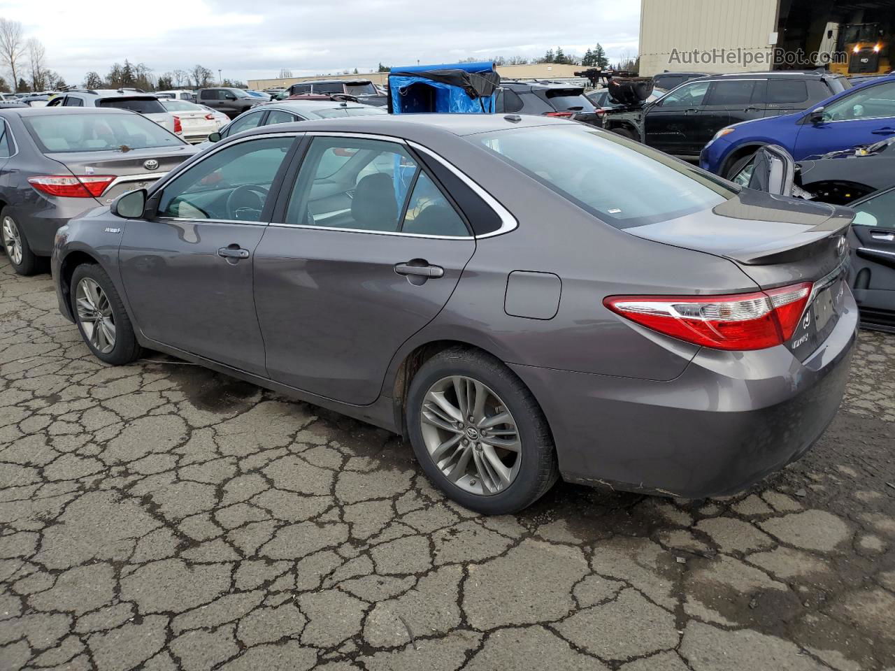 2016 Toyota Camry Hybrid Gray vin: 4T1BD1FK1GU185136