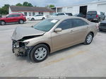 2007 Toyota Camry Le Gold vin: 4T1BE46K07U036764