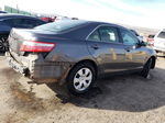 2009 Toyota Camry Base Серый vin: 4T1BE46K09U826035