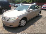 2009 Toyota Camry   Gold vin: 4T1BE46K19U814878