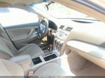 2009 Toyota Camry   Gold vin: 4T1BE46K19U814878