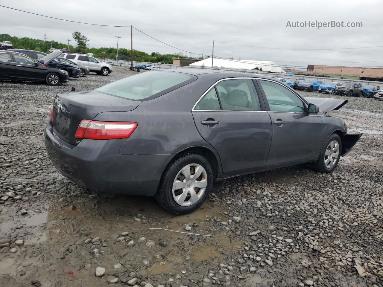 2009 Toyota Camry Base Серый vin: 4T1BE46K19U883022