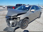 2007 Toyota Camry Le Золотой vin: 4T1BE46K27U723096