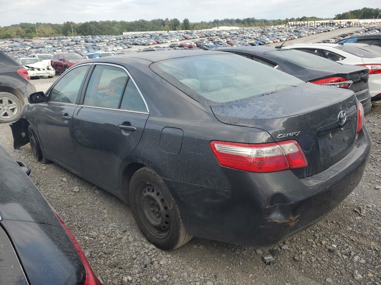 2009 Toyota Camry Base Серый vin: 4T1BE46K29U412268