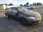 2009 Toyota Camry Base Charcoal vin: 4T1BE46K29U890948