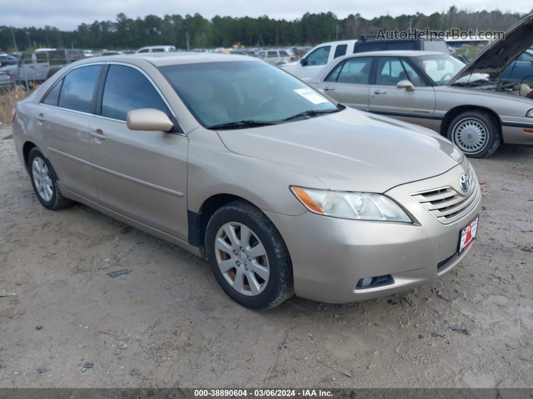 2009 Toyota Camry Xle Champagne vin: 4T1BE46K39U373061