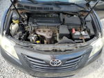 2009 Toyota Camry Base Серый vin: 4T1BE46K49U341235