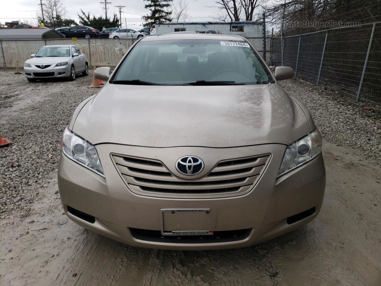 2009 Toyota Camry Base Желто-коричневый vin: 4T1BE46K49U916997