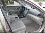 2009 Toyota Camry Le Gold vin: 4T1BE46K59U410157