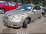 2009 Toyota Camry   Gold vin: 4T1BE46K69U399203