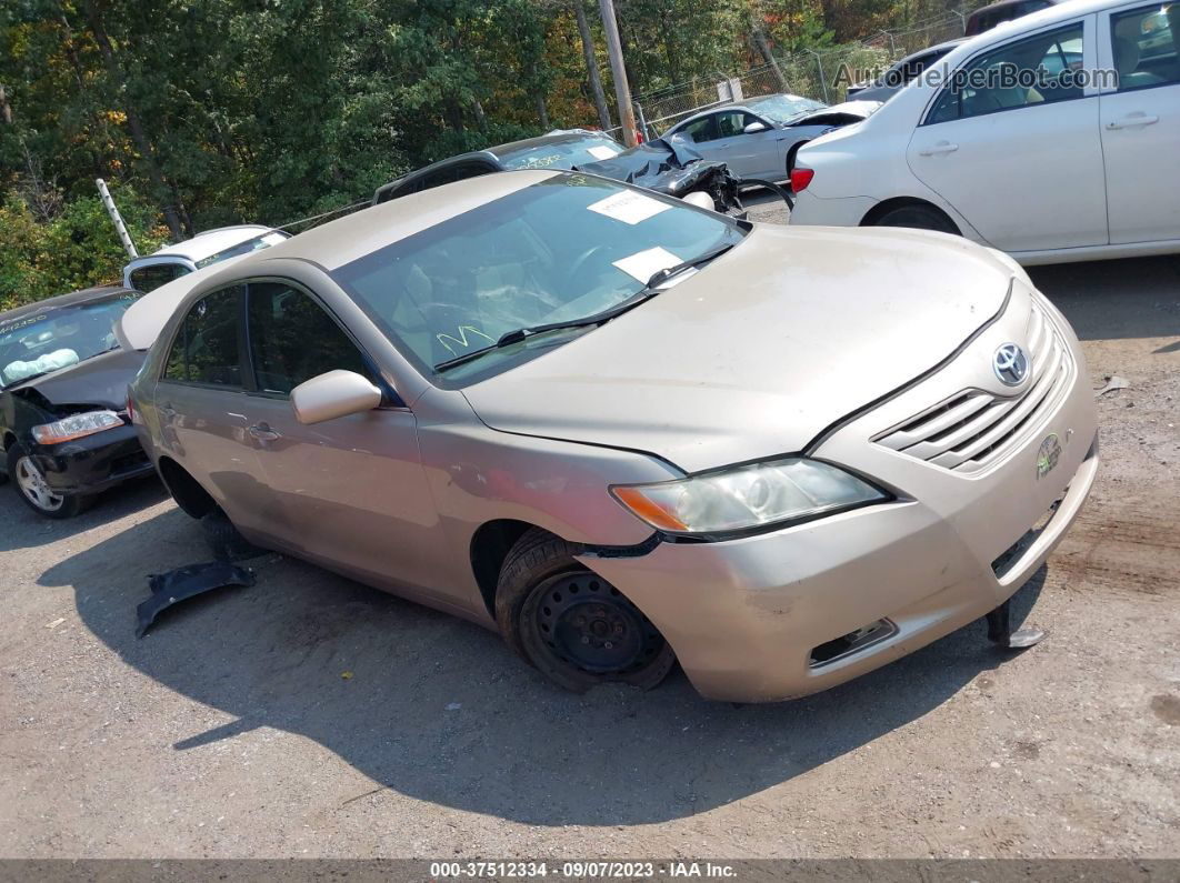 2009 Toyota Camry   Gold vin: 4T1BE46K69U399203