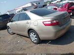 2009 Toyota Camry   Gold vin: 4T1BE46K69U399203