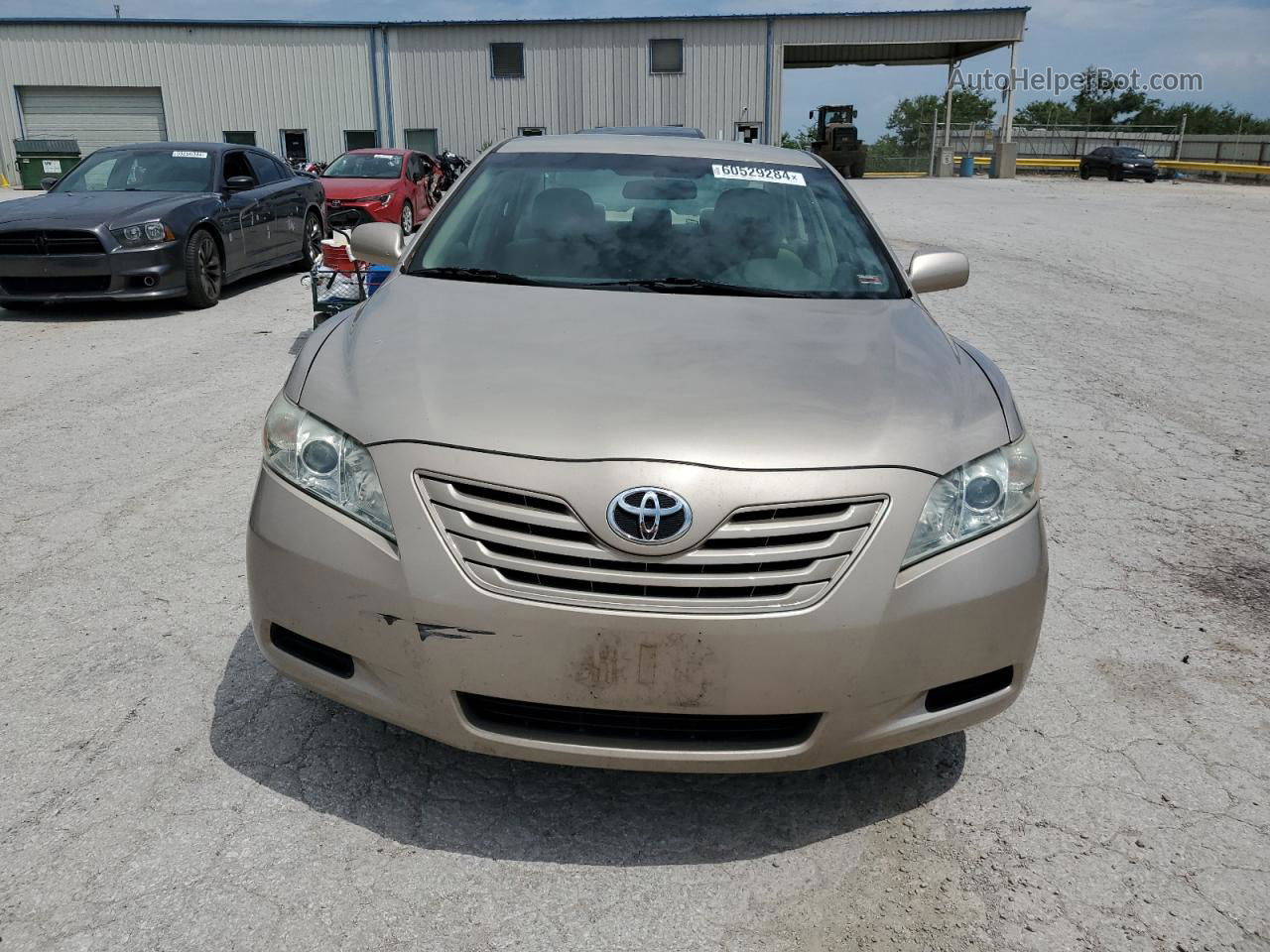 2009 Toyota Camry Base Gold vin: 4T1BE46K79U293200