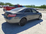 2009 Toyota Camry Base Gray vin: 4T1BE46K79U384791