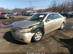 2009 Toyota Camry Le Gold vin: 4T1BE46K79U845455