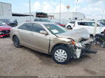 2009 Toyota Camry Le Champagne vin: 4T1BE46K89U388090