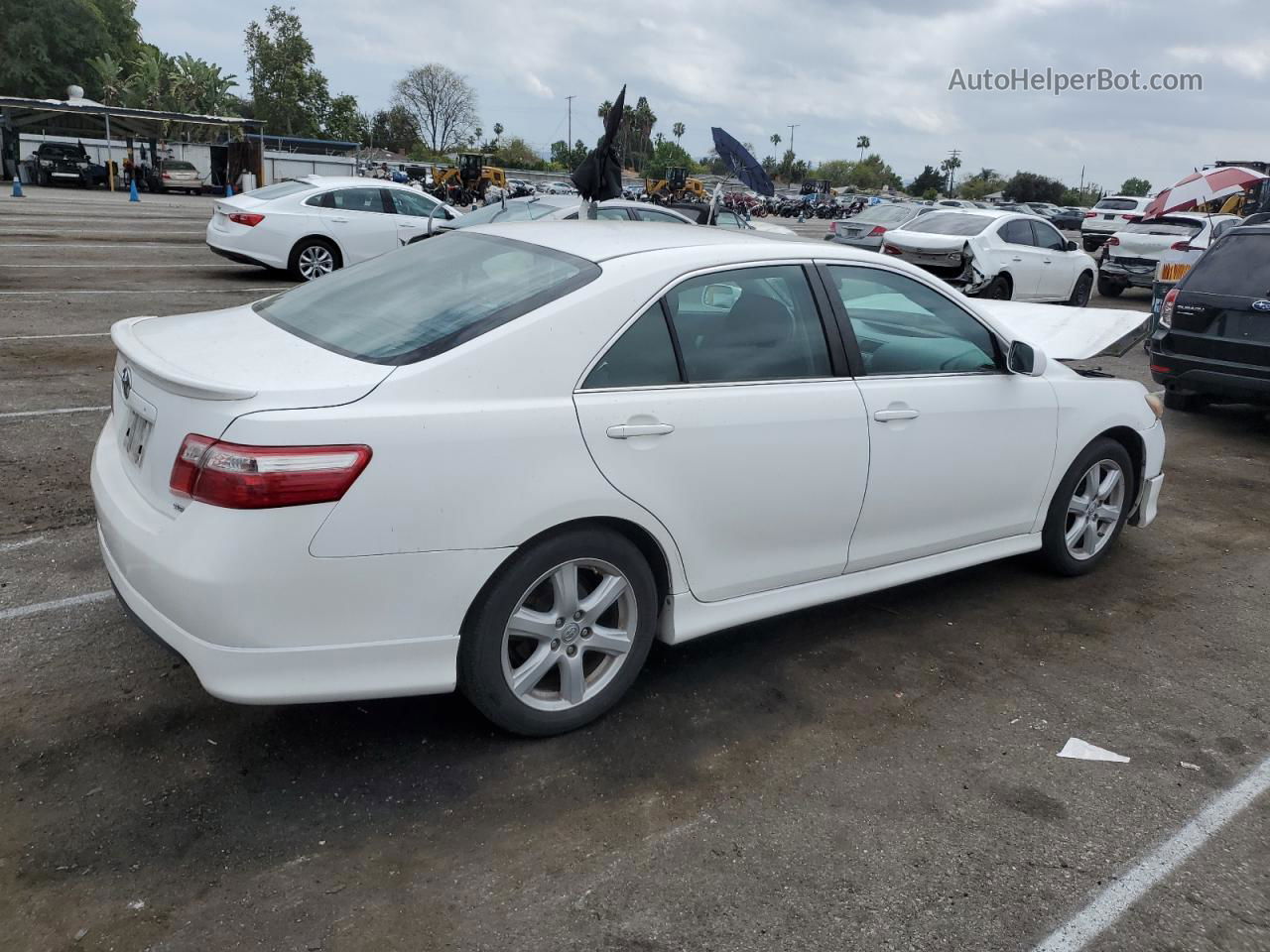 2009 Toyota Camry Base Белый vin: 4T1BE46K89U833198