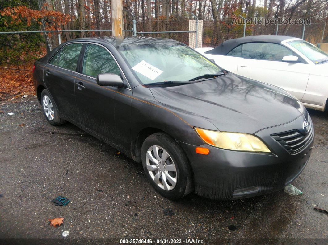 2009 Toyota Camry   Gray vin: 4T1BE46K89U859607