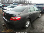 2009 Toyota Camry   Gray vin: 4T1BE46K89U859607