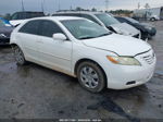 2009 Toyota Camry   Белый vin: 4T1BE46KX9U854229