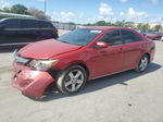 2013 Toyota Camry L Red vin: 4T1BF1FK1DU660600