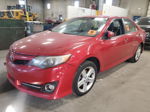 2013 Toyota Camry L Red vin: 4T1BF1FK1DU702568