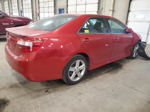 2013 Toyota Camry L Красный vin: 4T1BF1FK1DU702568