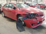 2013 Toyota Camry L Красный vin: 4T1BF1FK1DU702568