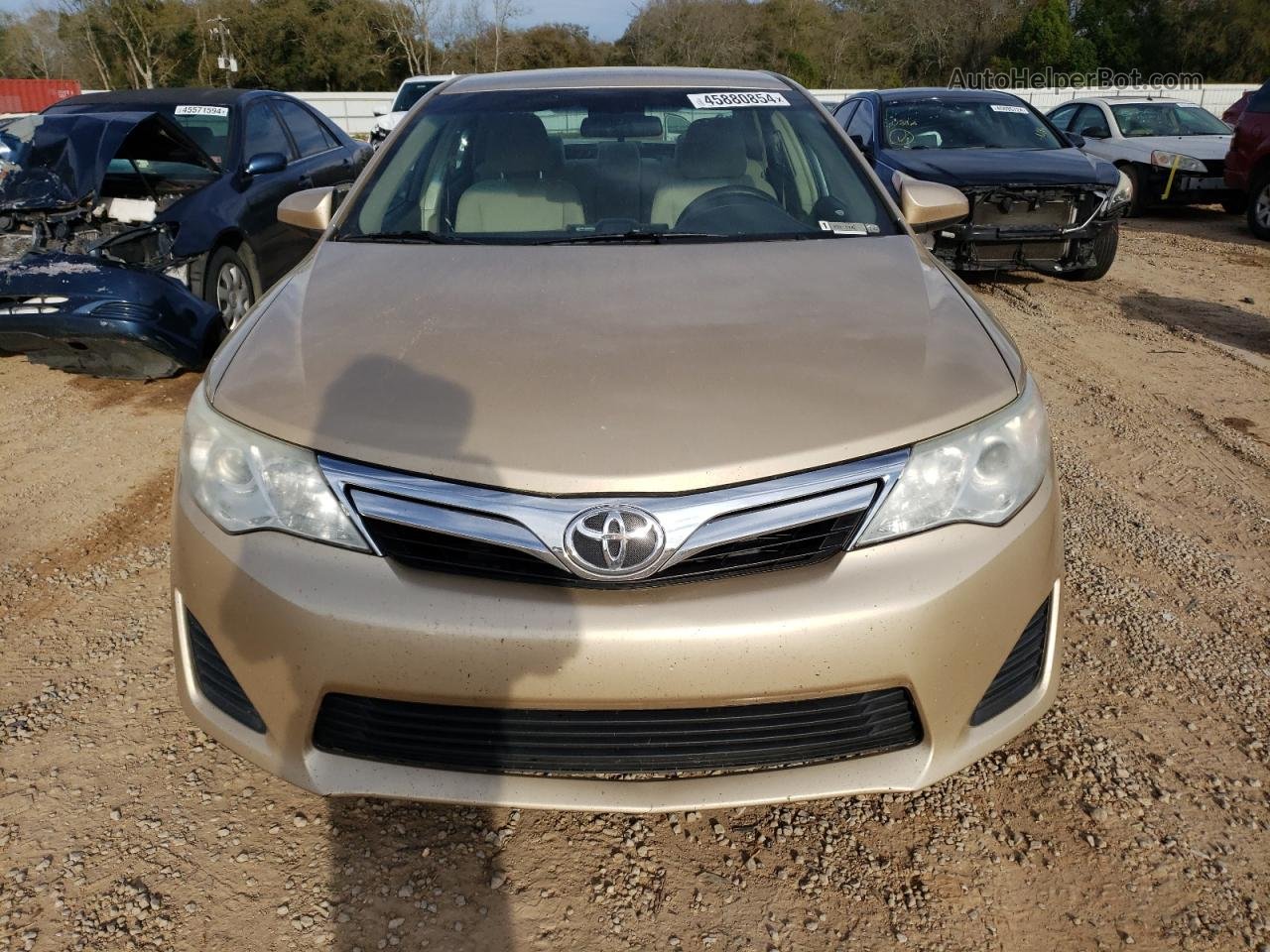 2012 Toyota Camry Base Gold vin: 4T1BF1FK2CU044676