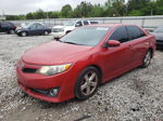 2012 Toyota Camry Base Красный vin: 4T1BF1FK2CU527729