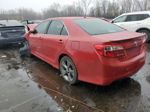 2012 Toyota Camry Base Красный vin: 4T1BF1FK2CU616362