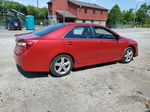 2013 Toyota Camry L Red vin: 4T1BF1FK2DU690771