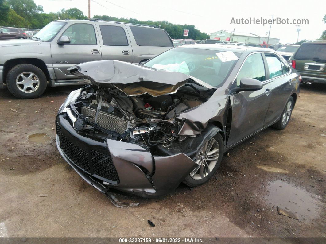 2017 Toyota Camry Xle/se/le/xse Gray vin: 4T1BF1FK2HU446513