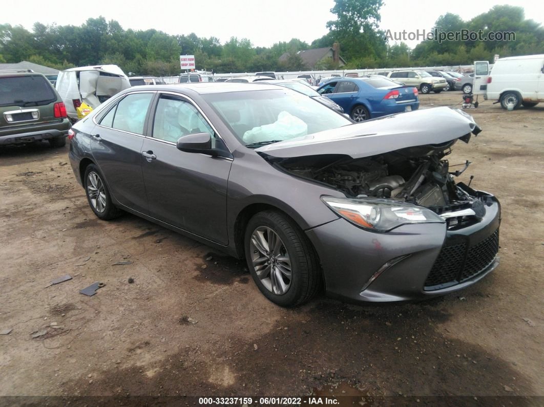 2017 Toyota Camry Xle/se/le/xse Gray vin: 4T1BF1FK2HU446513