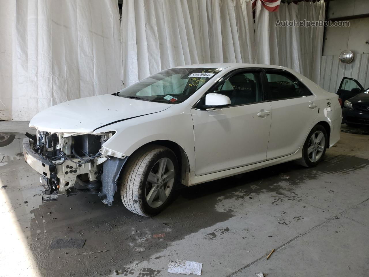 2012 Toyota Camry Base Белый vin: 4T1BF1FK3CU132667