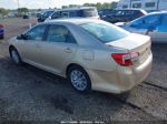 2012 Toyota Camry L/le/se/xle Gold vin: 4T1BF1FK3CU188348