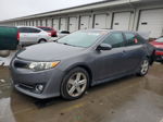 2013 Toyota Camry L Серый vin: 4T1BF1FK4DU288783