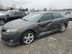 2013 Toyota Camry L Gray vin: 4T1BF1FK4DU685202