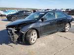 2013 Toyota Camry L Черный vin: 4T1BF1FK5DU218371